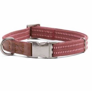 Reddy BURGUNDY Webbed Dog Collar